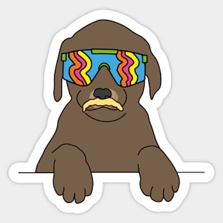 Chocolate Labrador puppy Dog wearing 80's skiing sunglasses Sticker